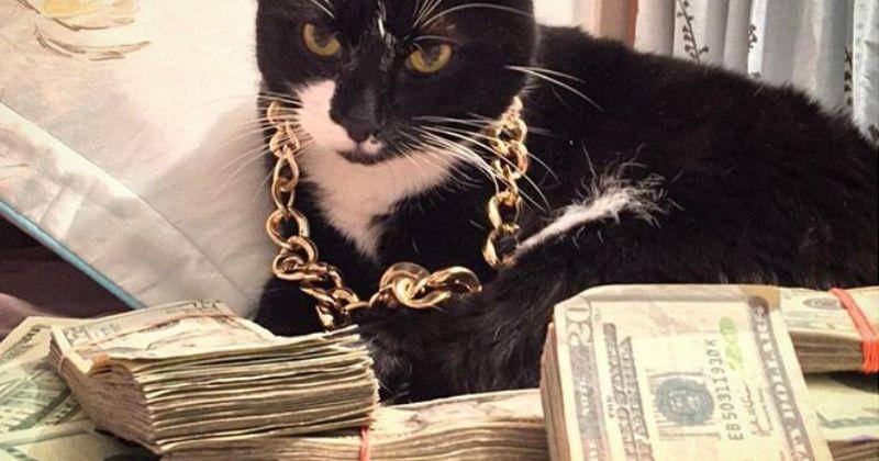 Ilustrasi - Dok. Pinterest