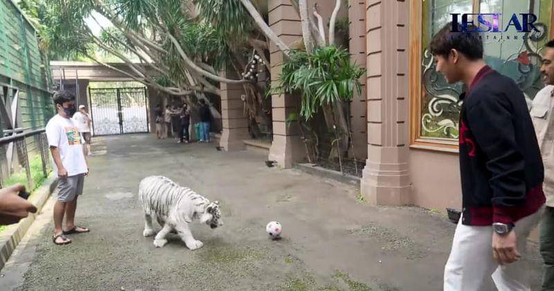 Youtube.com/Leslar Entertainment