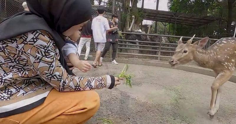 Youtube.com/Leslar Entertainment