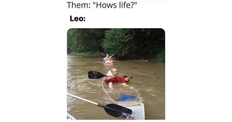 instagram.com/leozodiacmemes