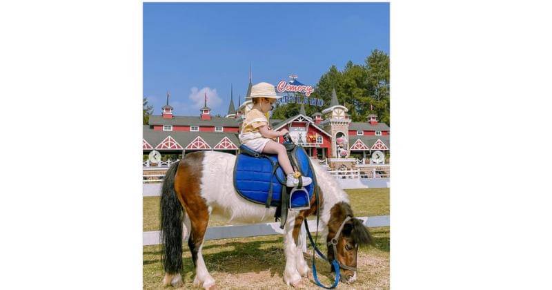 Instagram.com/defarhad