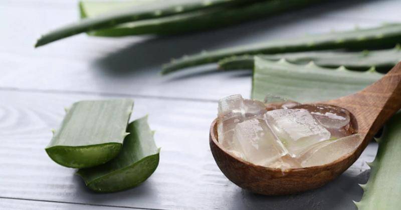 Freepik/Racool Studio