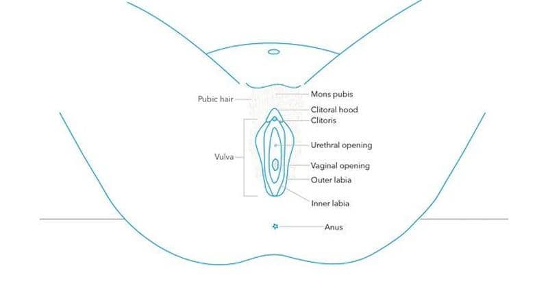 plannedparenthood.org