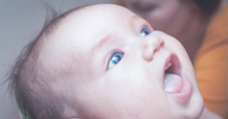 Unsplash/Dragos Gontariu