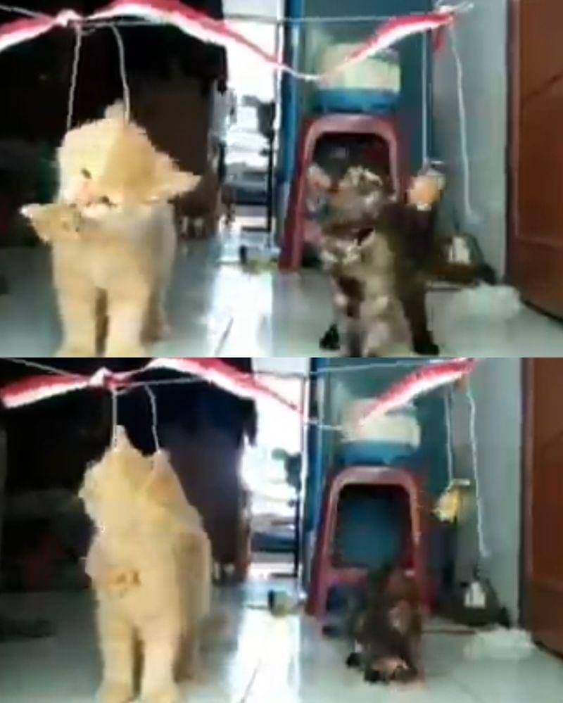 Twitter.com/khak_aryotong