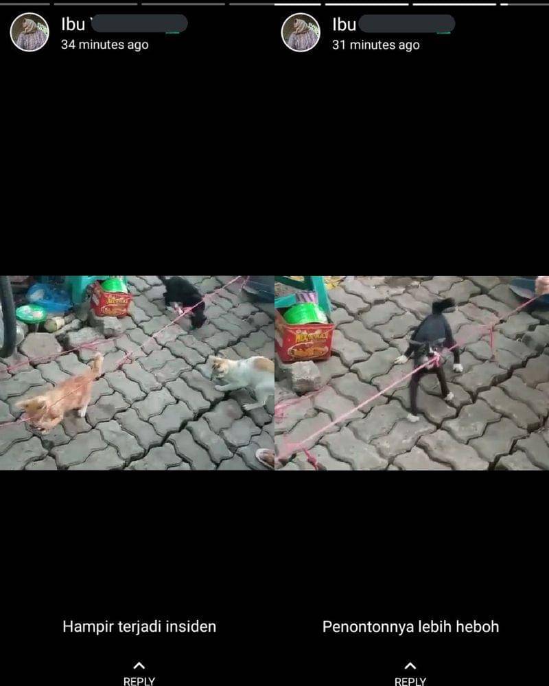 Twitter.com/berhitungdulu