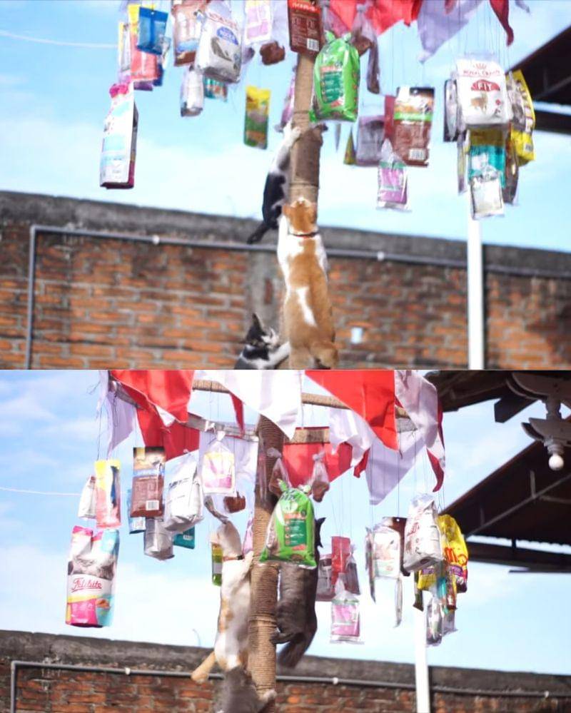 Youtube.com/itca channel