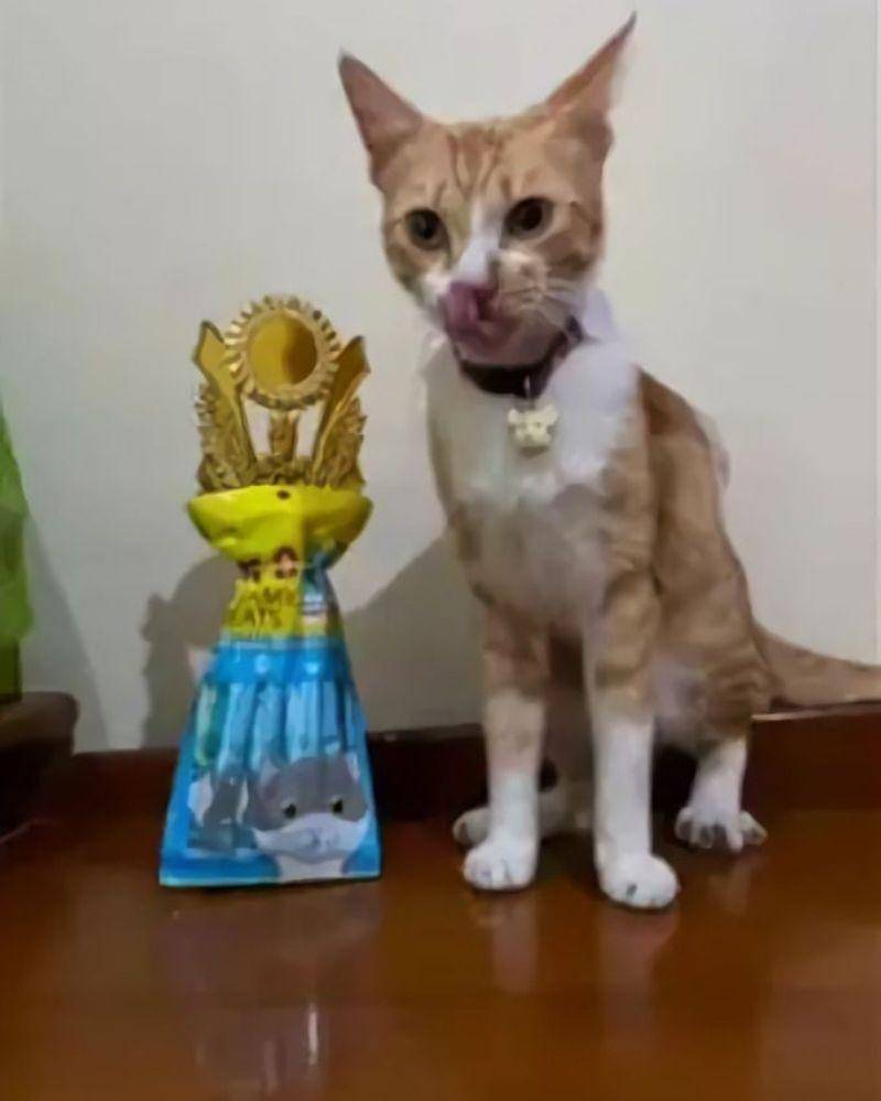 Twitter.com/twitkocheng