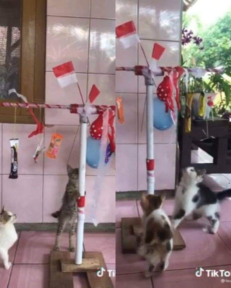 Youtube.com/GRYNAYRA