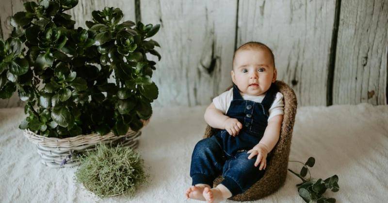 Freepik/Freepic.diller