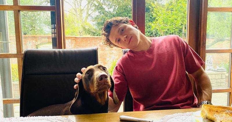 Instagram.com/tomholland2013