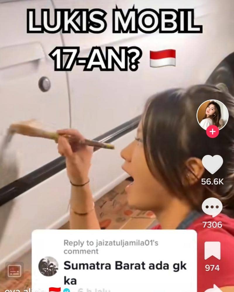 TikTok/aliciaeva9