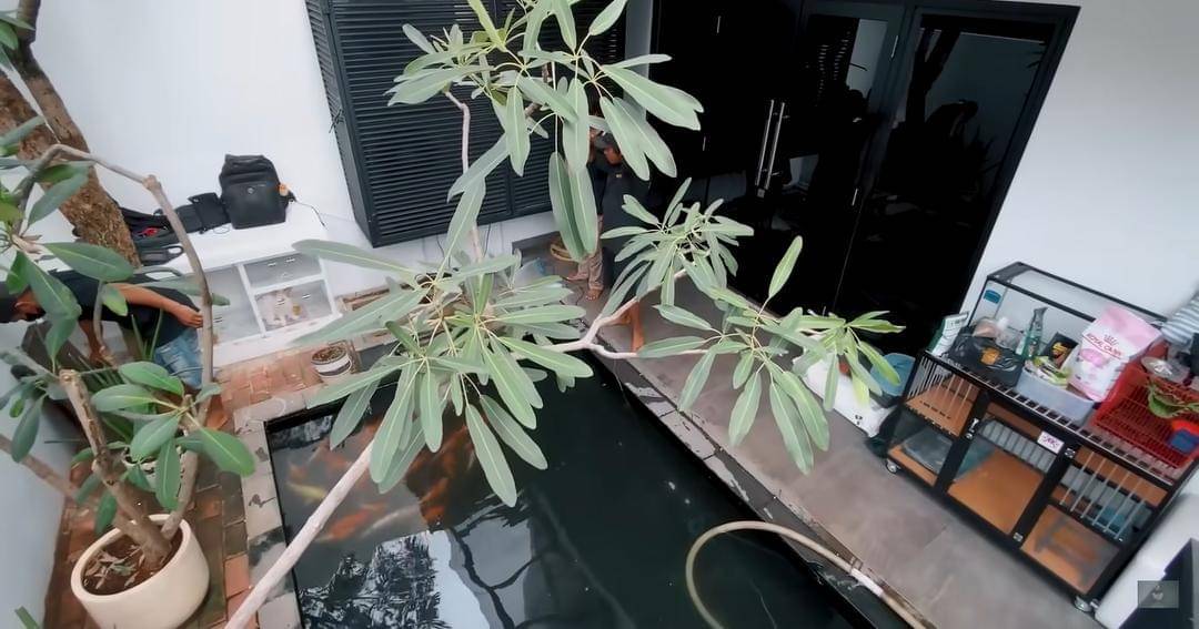 YouTube.com/Crazy Nikmir REAL