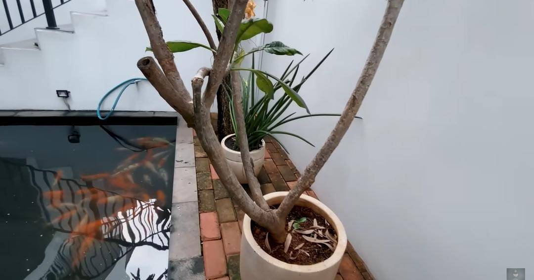 YouTube.com/Crazy Nikmir REAL