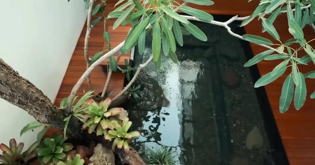 YouTube.com/Crazy Nikmir REAL