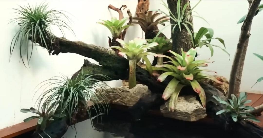 YouTube.com/Crazy Nikmir REAL