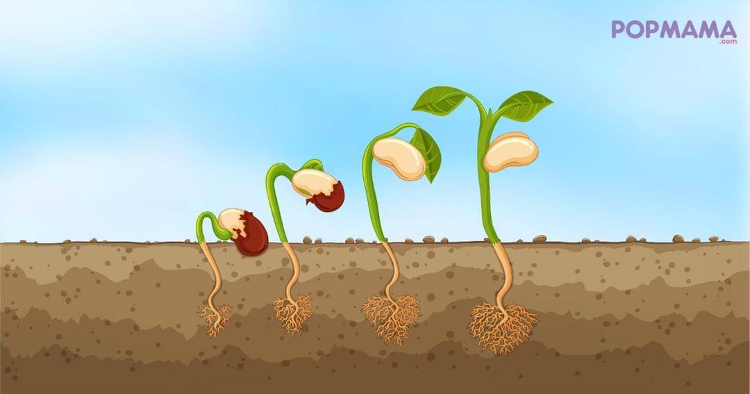 Popmama.com/Aristika Medinasari