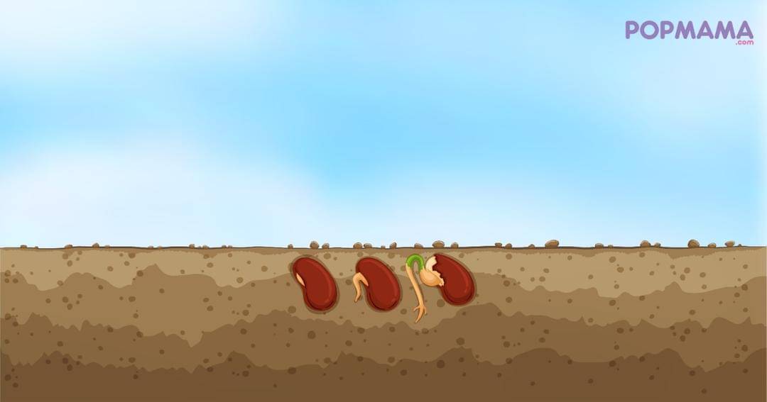 Popmama.com/Aristika Medinasari