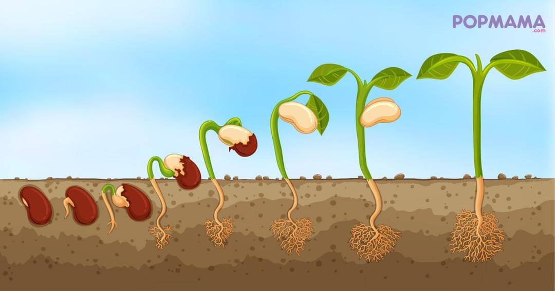 Popmama.com/Aristika Medinasari