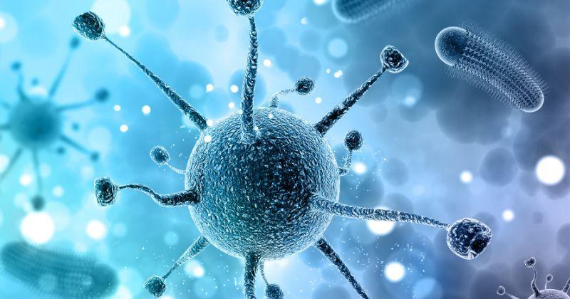 5 Cara Pencegahan Omicron XBB, Mudah untuk Cegah Infeksi dan Penularan