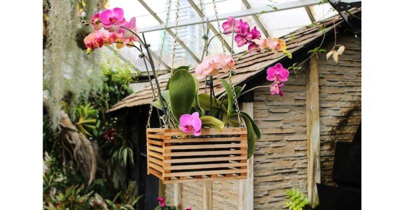 Unsplash/chantaldeaugust