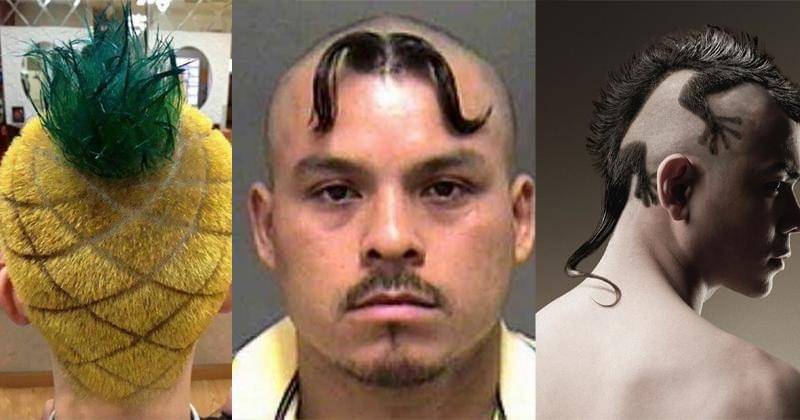 boredpanda.com/Instagram.com/petasimonehairdressing/Benchtm.com