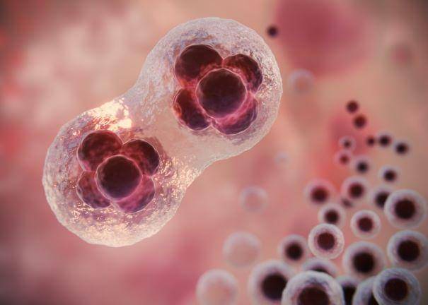 ilustrasi sel telur yang diamati dari mikroskop (freepik.com/freepik)