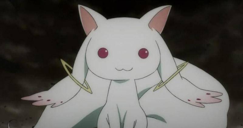 animecatoftheday.tumblr.com