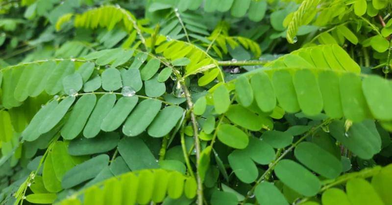 Freepik/Stockio Design