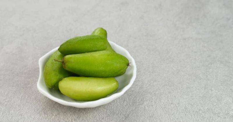 Freepik/Tyasindayanti