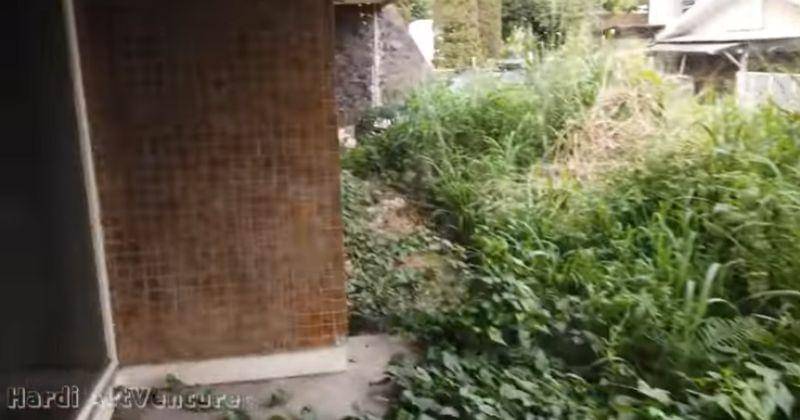 Youtube.com/Hardi ArtVenture