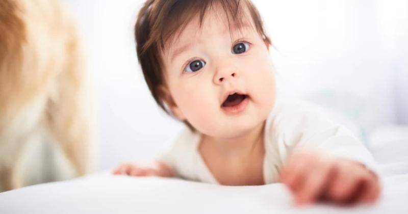 Freepik/Freepic.diller