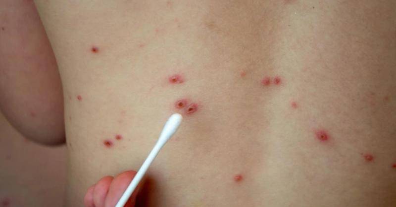 Freepik/User34805472