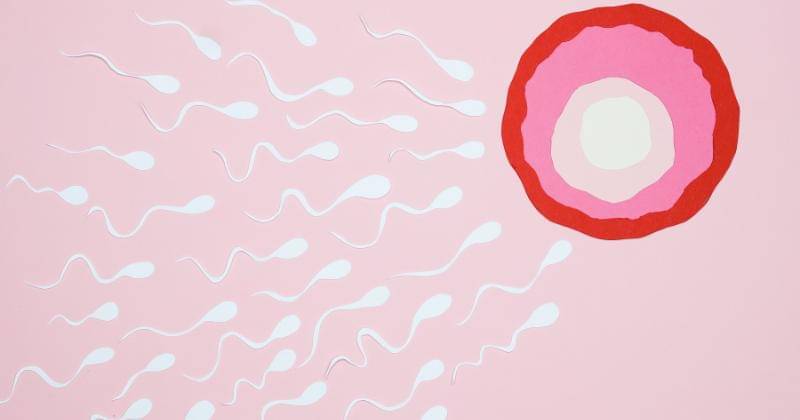 Pexels/Nadezhda Moryak