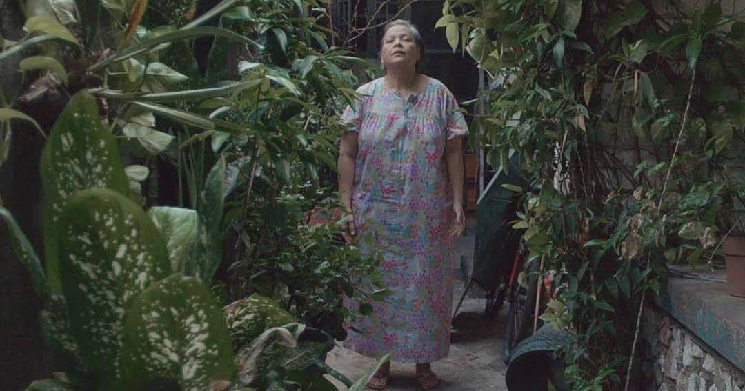 Instagram.com/leonorwillneverdie