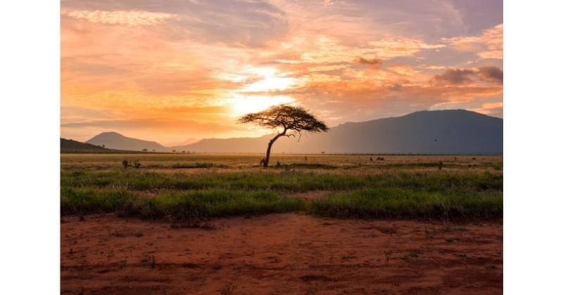 Unsplash/Damainpatkowski