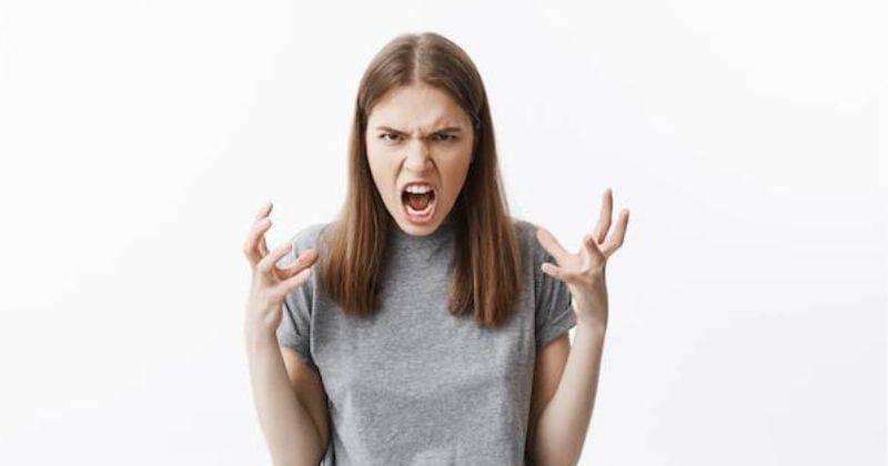 freepik.com/cookie-studio