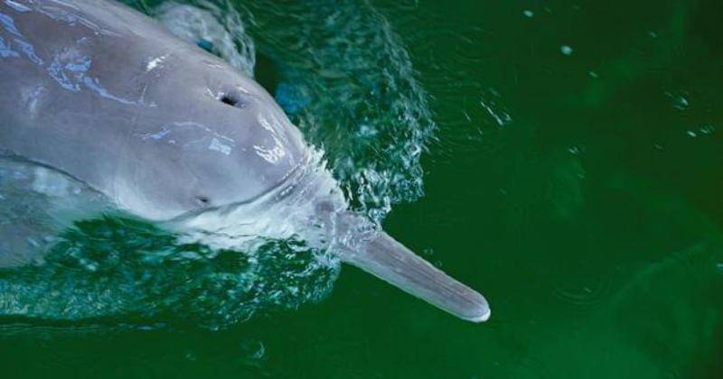 nationalgeographic.com/National Geographic