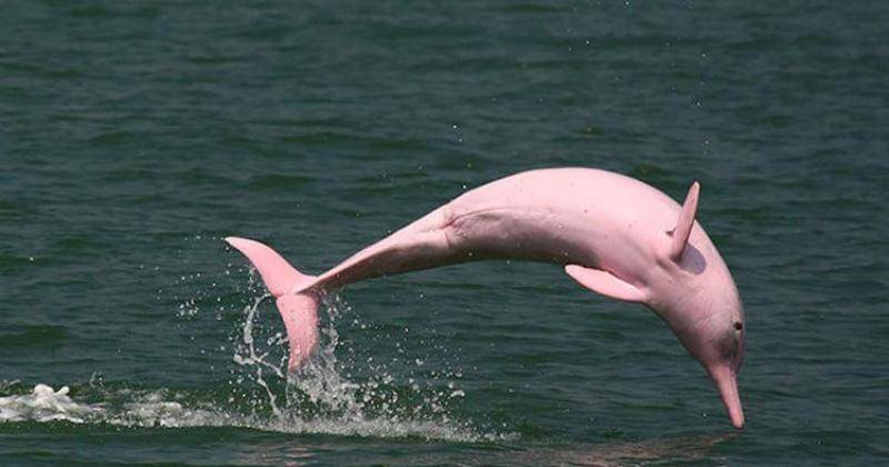 Imgur.com/aerrorfree