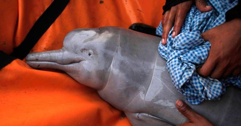 nationalgeographic.com/National Geographic