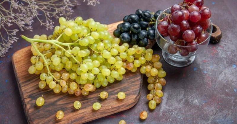 Freepik/KamranAydinov