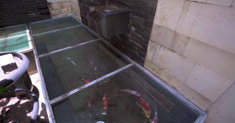 Youtube.com/Dodit Mulyanto