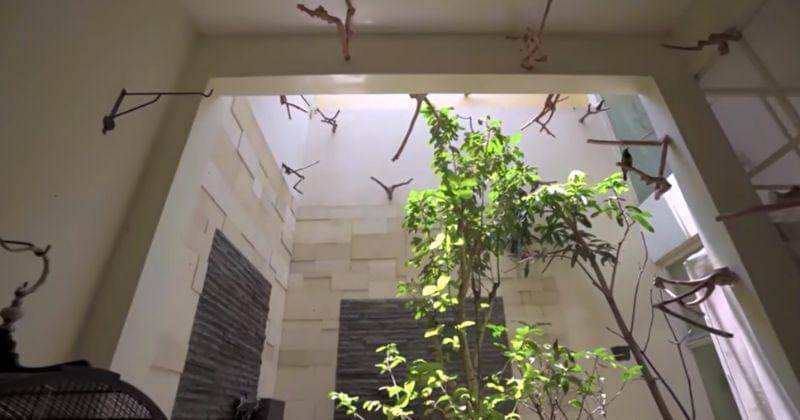 Youtube.com/Dodit Mulyanto