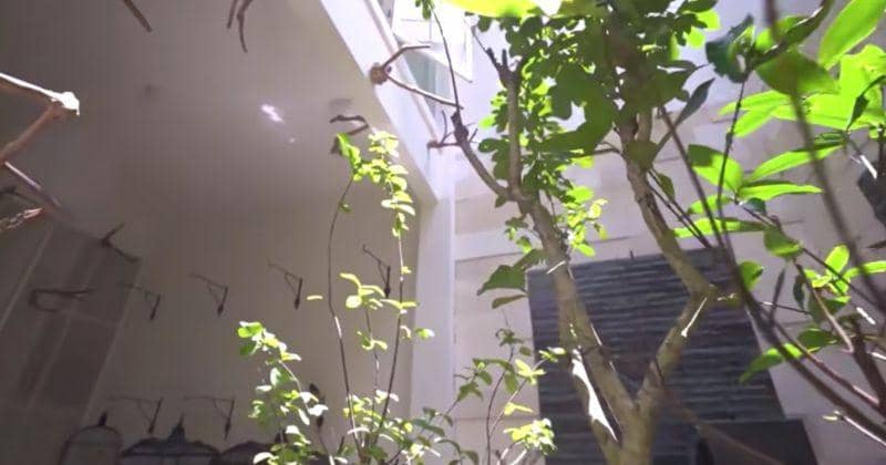 Youtube.com/Dodit Mulyanto