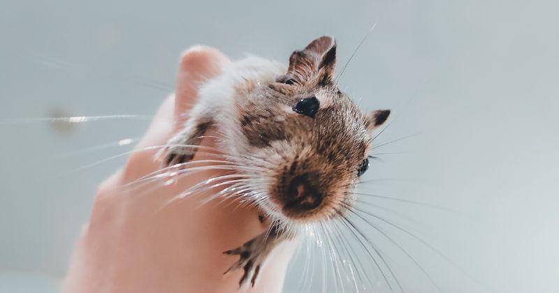 Pexels/Татьяна Угрюмова