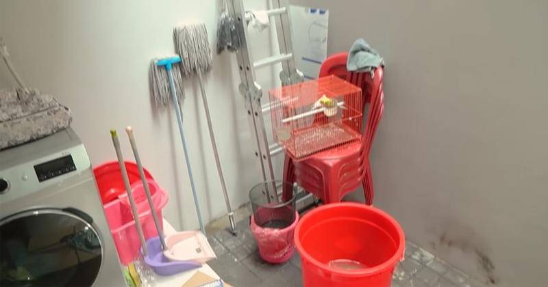 Youtube.com/Oura Gaming