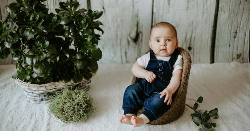 Freepik/freepic.diller