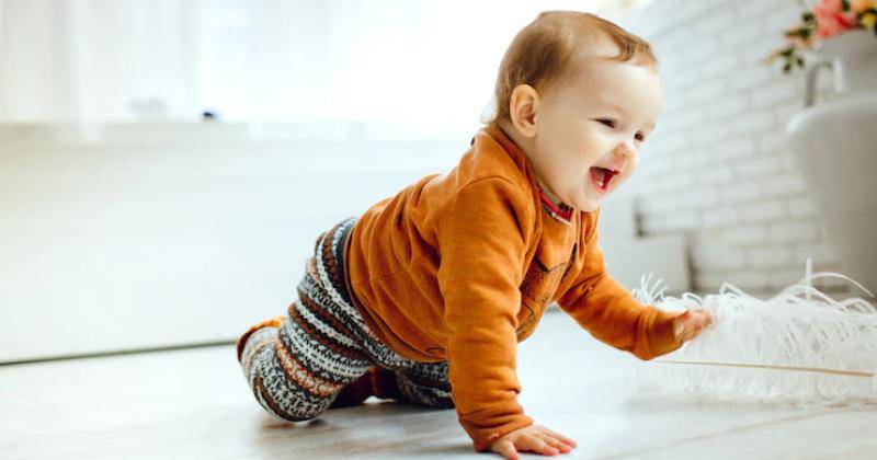 Freepik/freepic.diller