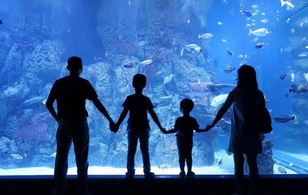 Instagram.com/jakartaaquarium