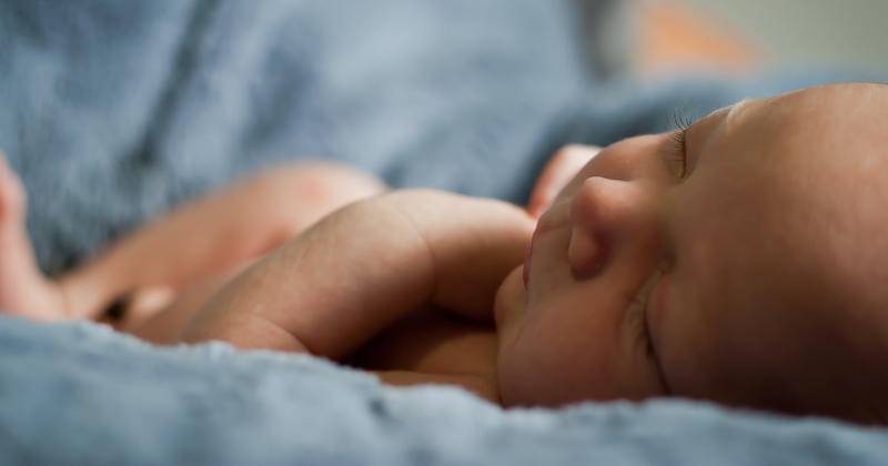 Unsplash/Carlo Navarro